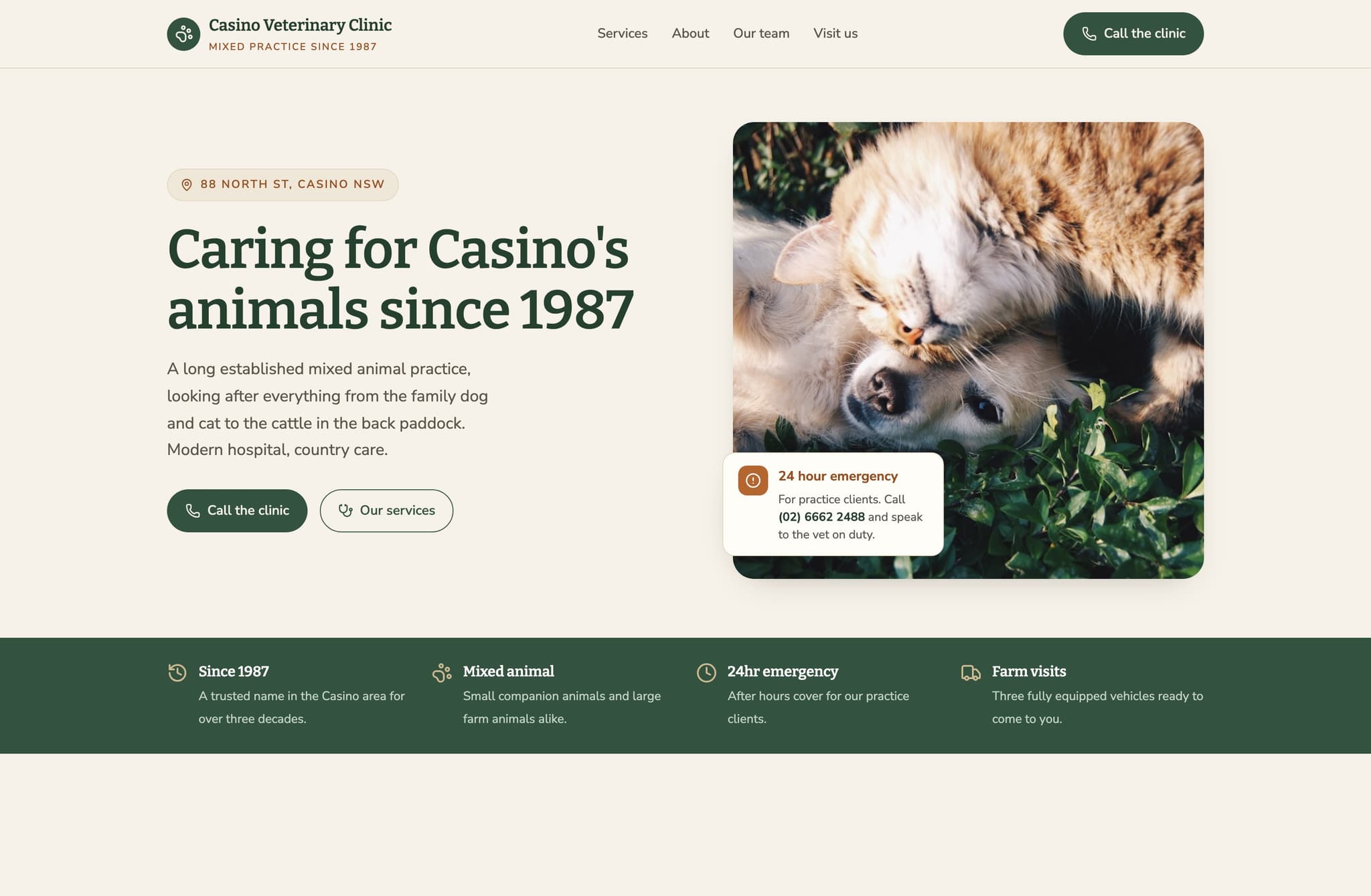 Casino Veterinary Clinic, Web Design project thumbnail