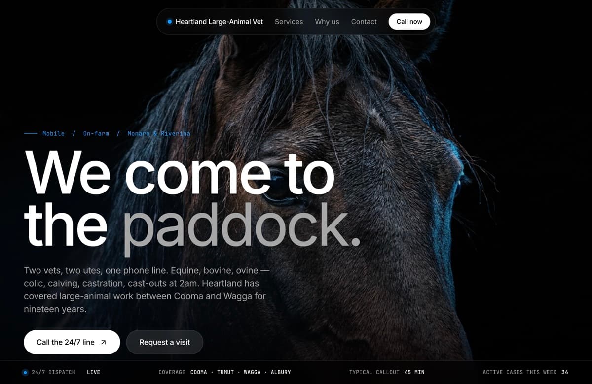 Heartland vet, Web Design project thumbnail