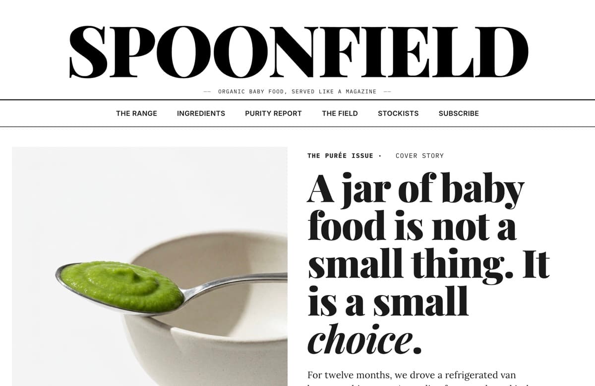 Spoonfield, Web Design project thumbnail