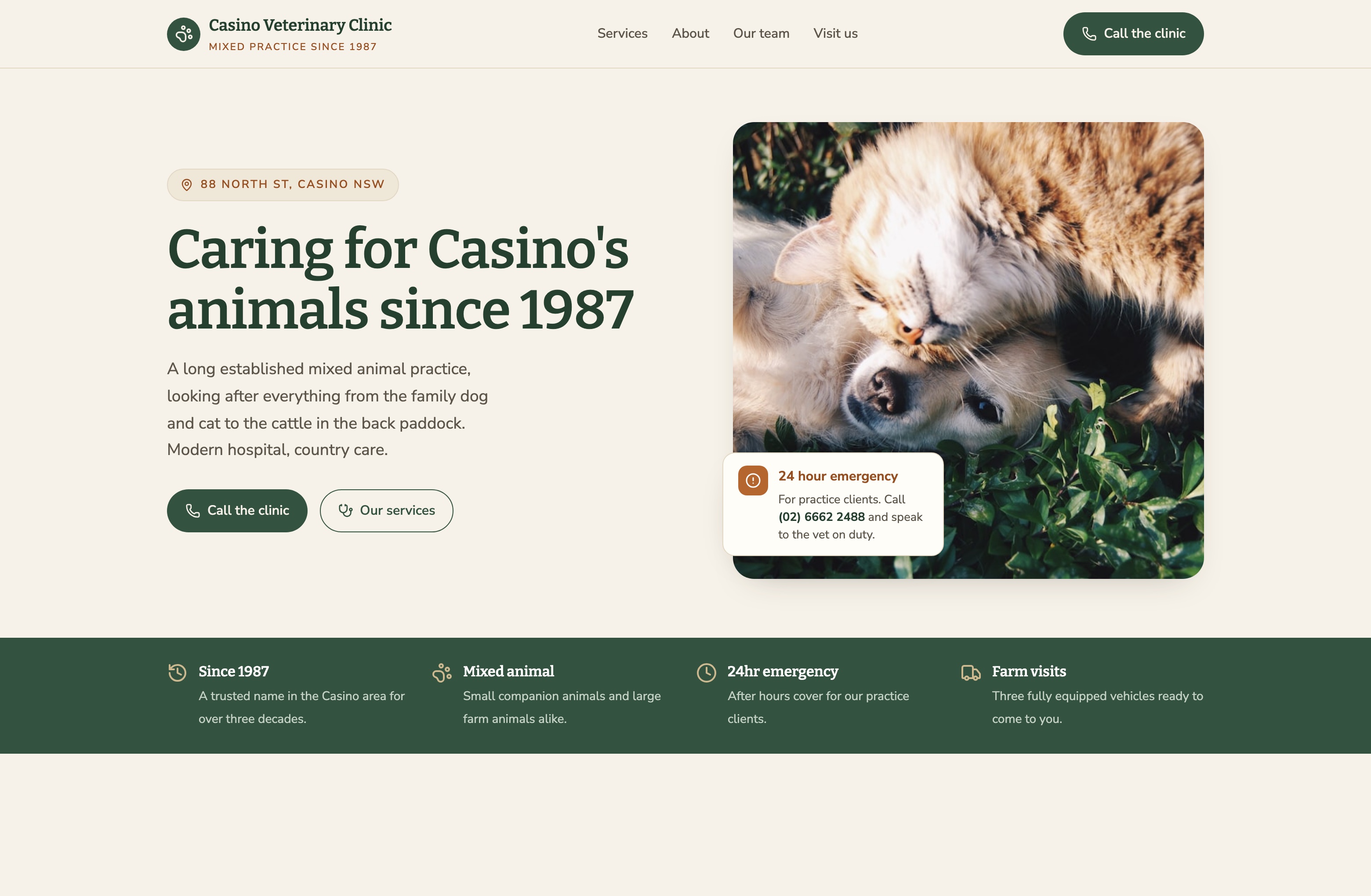 Casino Veterinary Clinic, Web Design project thumbnail